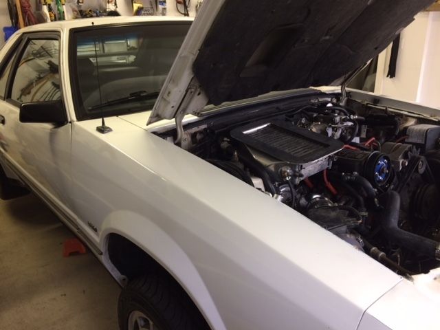 1986 Ford Mustang SVO - photo 4