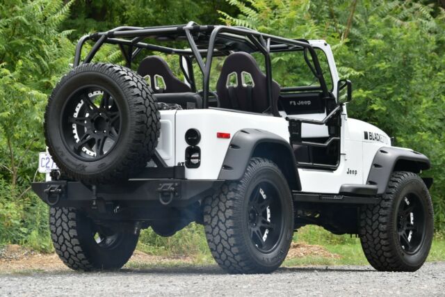 1980 Jeep Wrangler CJ7 - photo 2