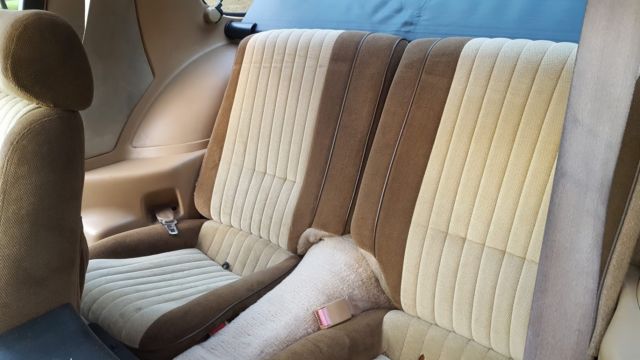 1984 Pontiac Trans Am - photo 7