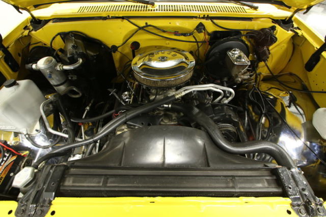 1979 Chevrolet Silverado 1500 - photo 3