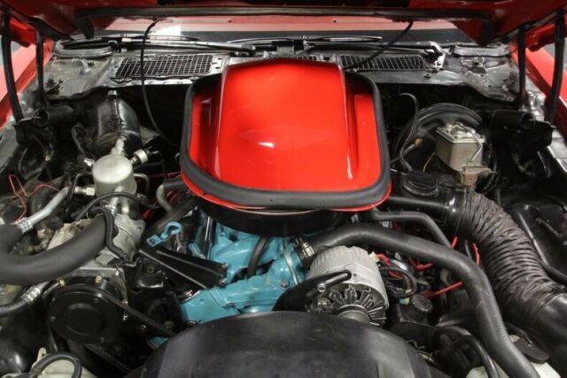 1979 Pontiac Firebird Trans Am - photo 4