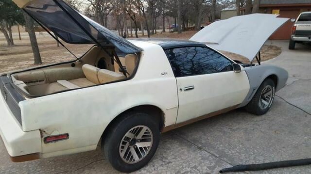 1984 Pontiac Firebird - photo 3