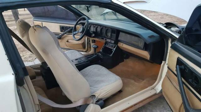 1984 Pontiac Firebird - photo 8