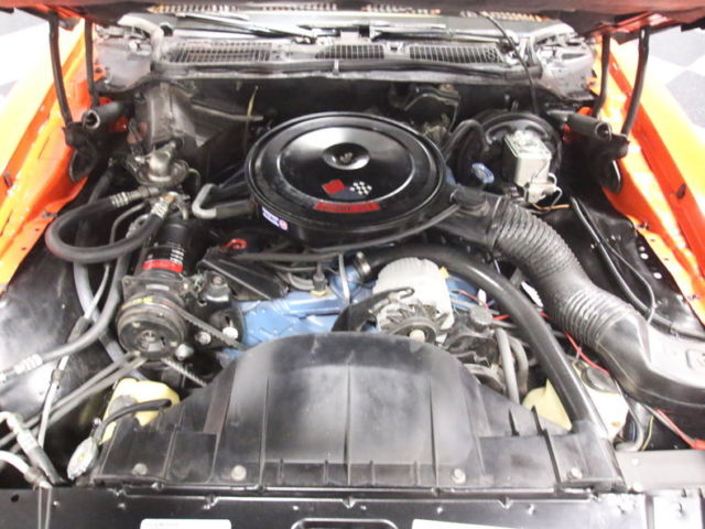 1976 Pontiac Firebird - photo 3