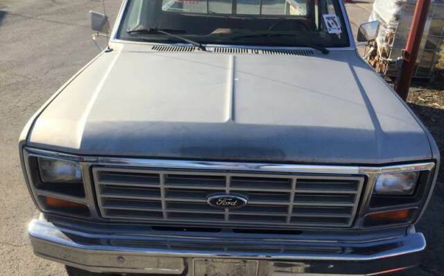 1983 Ford F-250 XL 2dr 4WD Standard Cab LB HD - photo 4