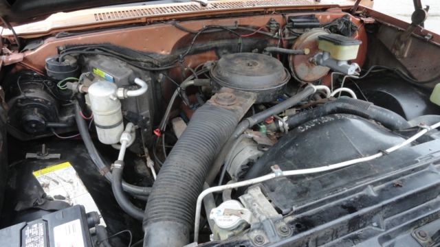 1981 Chevrolet C-10 Custom Deluxe - photo 10