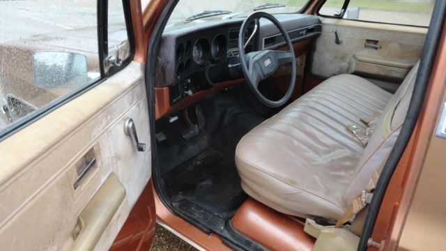 1981 Chevrolet C-10 Custom Deluxe - photo 3