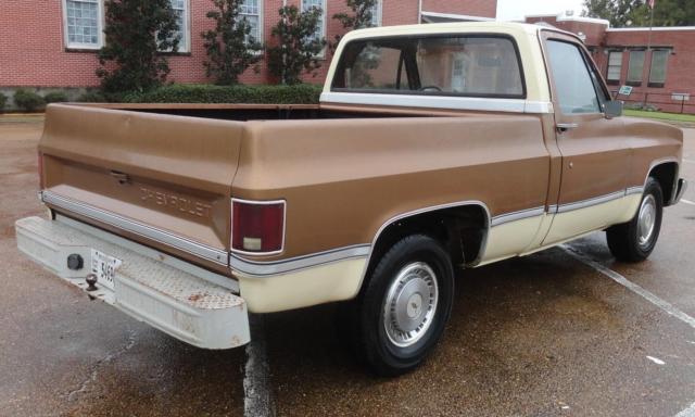 1981 Chevrolet C-10 Custom Deluxe - photo 6
