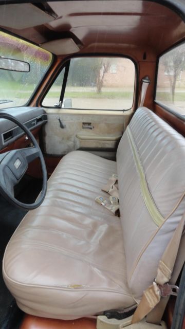 1981 Chevrolet C-10 Custom Deluxe - photo 8