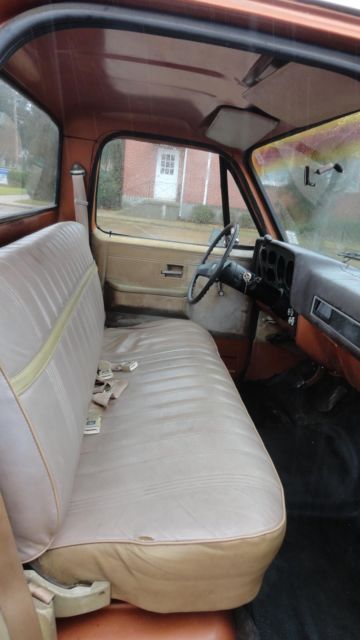 1981 Chevrolet C-10 Custom Deluxe - photo 9