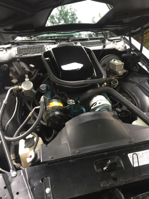 1978 Pontiac Trans Am - photo 10