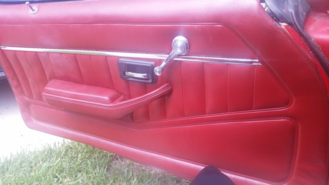 1979 Pontiac Firebird - photo 8