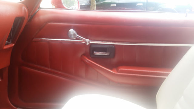 1979 Pontiac Firebird - photo 9