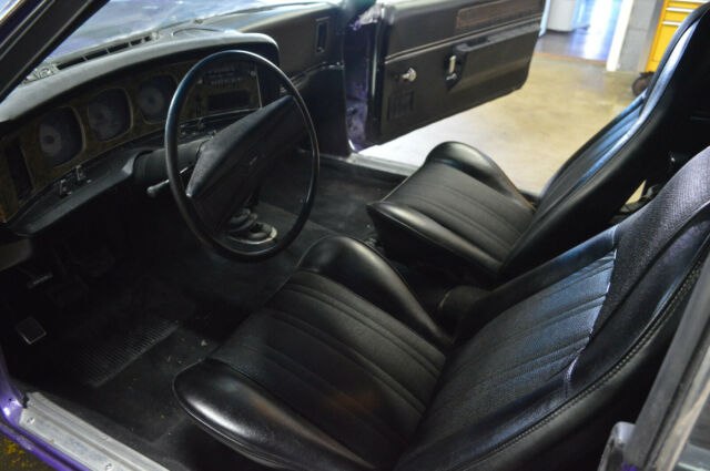 1974 AMC Javelin AMX Trim - photo 6