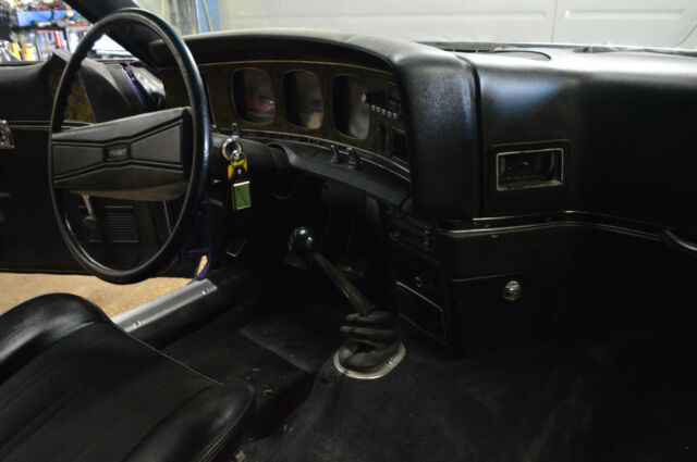 1974 AMC Javelin AMX Trim - photo 9