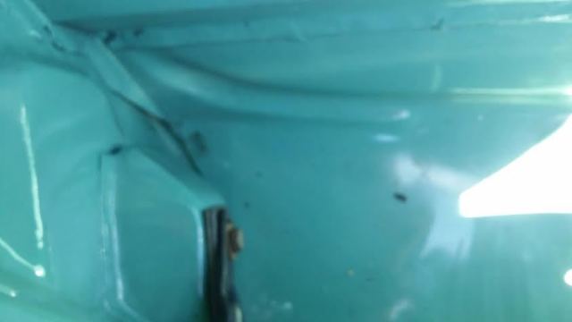 1964 Volkswagen Beetle - Classic True Classic 1964 VW - photo 8