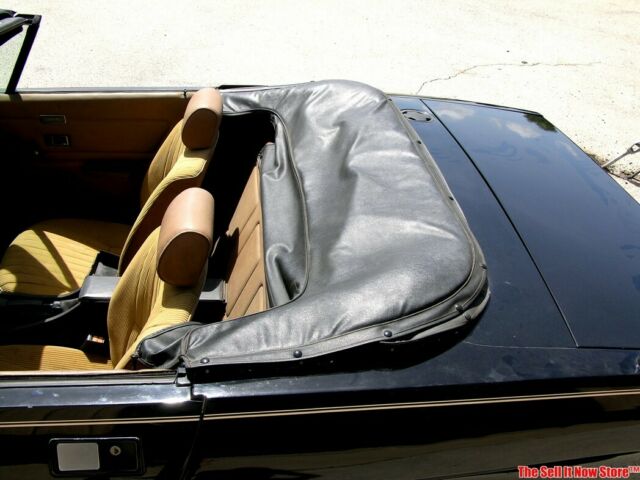 1980 Triumph TR7 30th Anniversary Convertible - photo 12