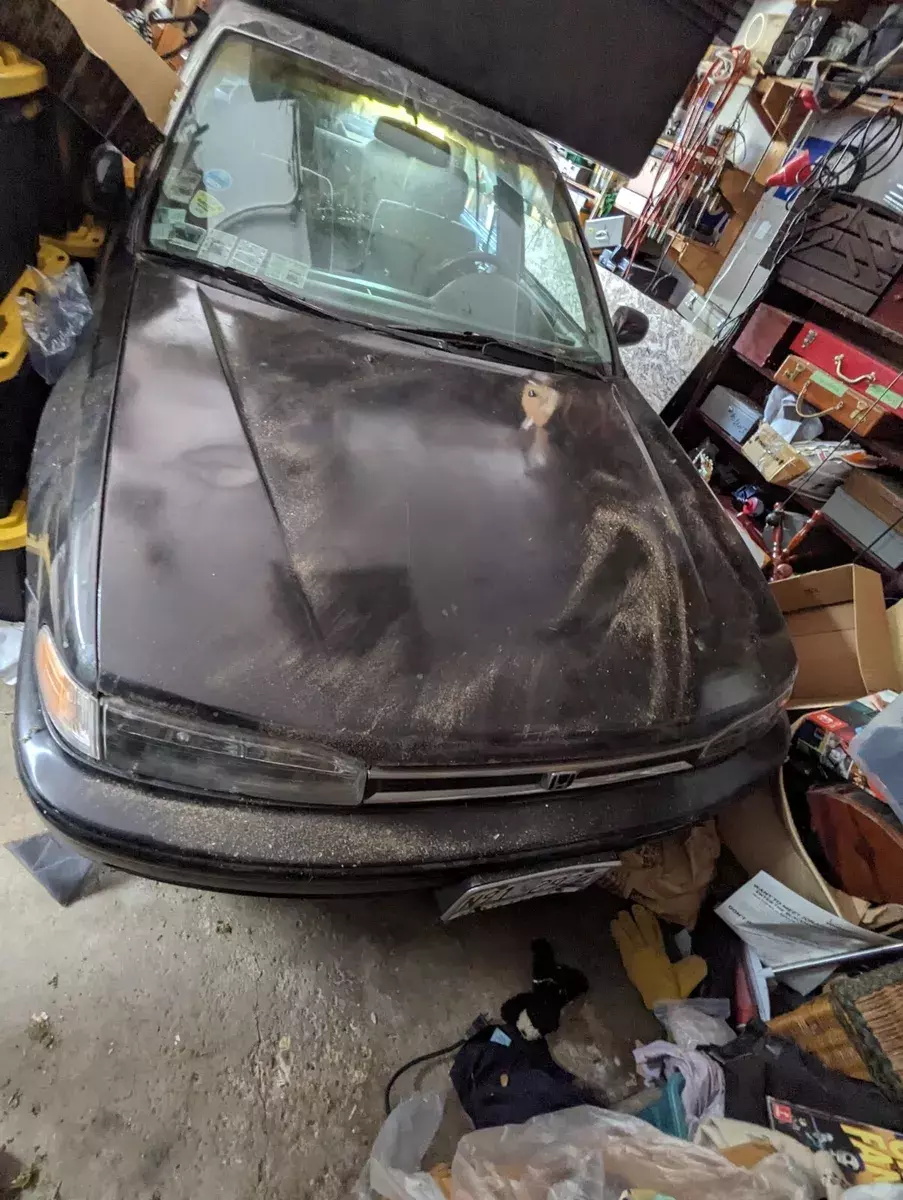 GARAGE FIND. 1993 Honda Accord LX 1993 Honda Accord