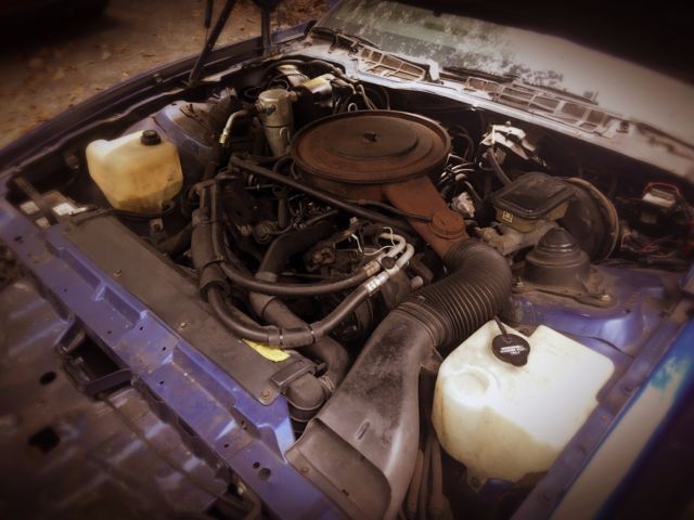 1986 Pontiac Firebird - photo 4