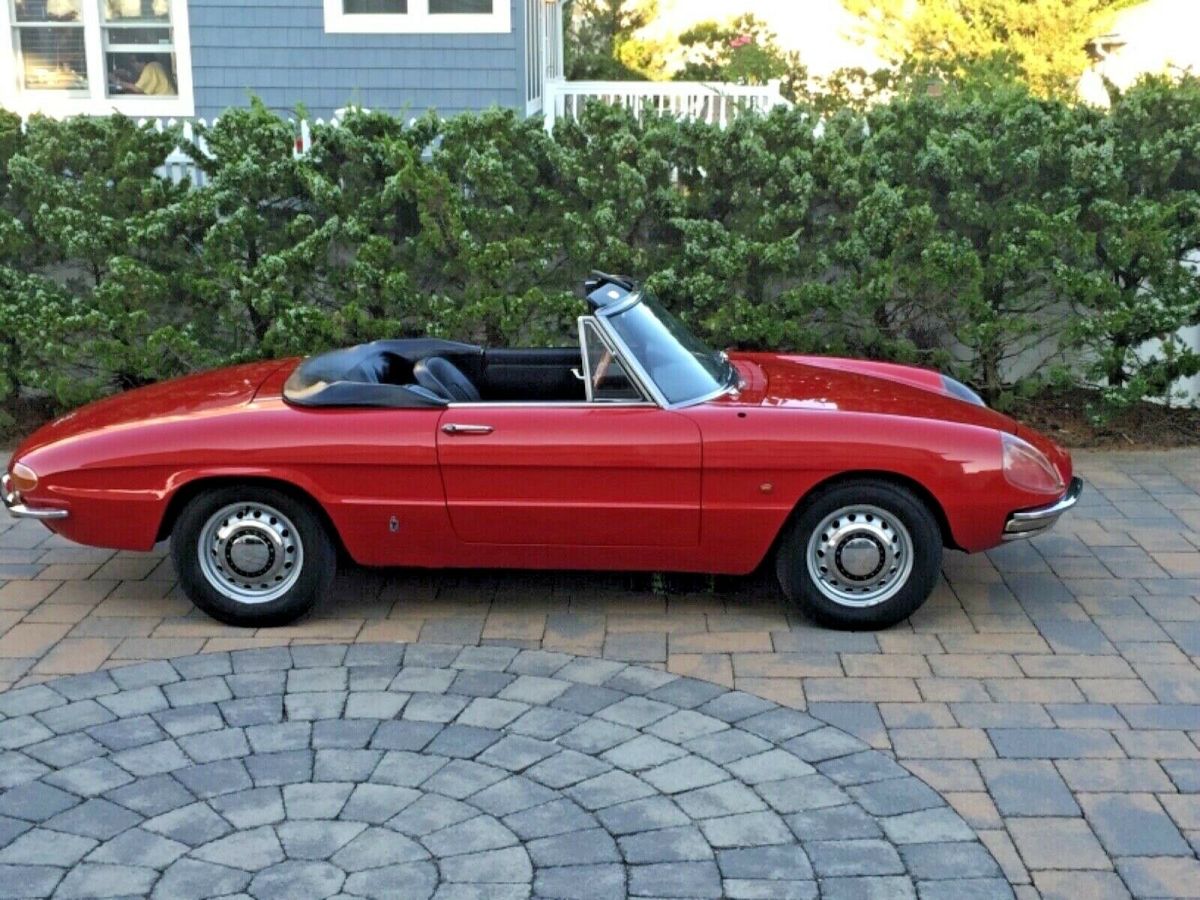 Genuine 1966 Italian Market 1600 Spider Duetto NR 1966 Alfa Romeo Duetto 1600
