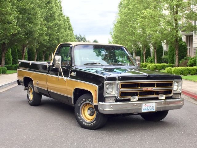 1975 GMC Sierra 1500 VERY RARE LIMITED EDITION GENTLEMAN JIM - photo 3