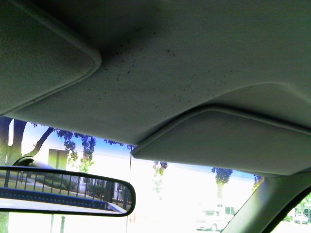 1994 GMC Sierra 1500 C/K 1500 Sierra - photo 13