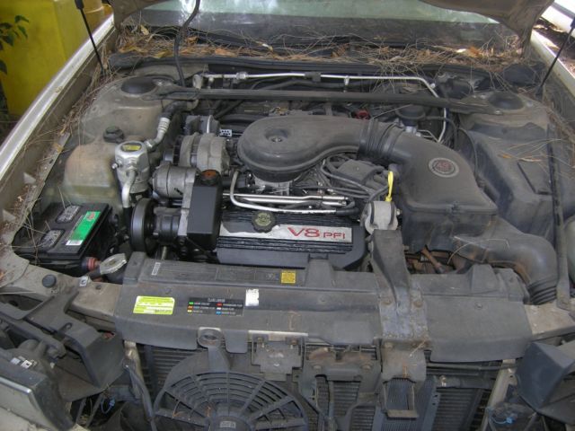 1994 Cadillac DTS - photo 8
