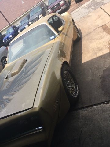1978 Pontiac Trans Am COUPE - photo 10