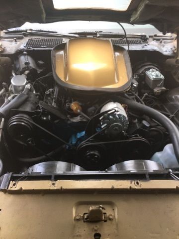 1978 Pontiac Trans Am COUPE - photo 2