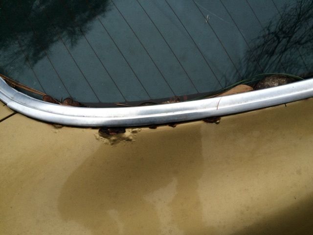 1978 Pontiac Trans Am COUPE - photo 6