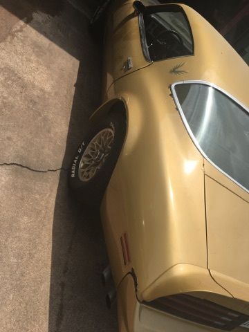 1978 Pontiac Trans Am COUPE - photo 9