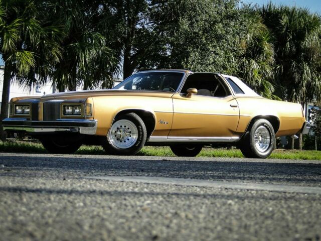 1976 Pontiac Grand Prix LJ Golden Anniversar - photo 12