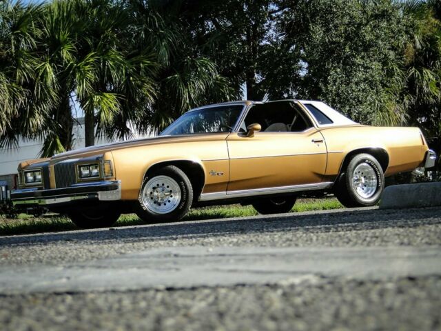 1976 Pontiac Grand Prix LJ Golden Anniversar - photo 13
