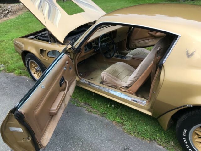 1978 Pontiac Trans Am - photo 13
