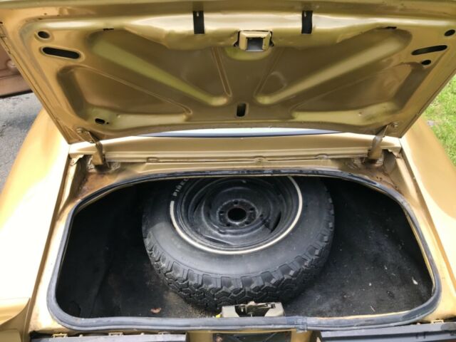 1978 Pontiac Trans Am - photo 7