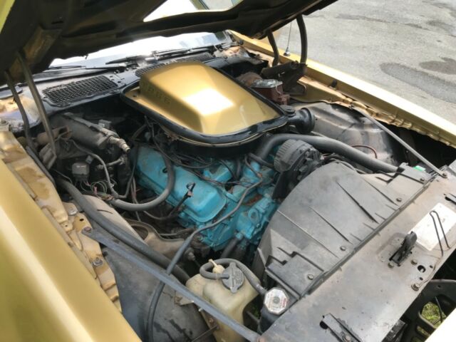 1978 Pontiac Trans Am - photo 8