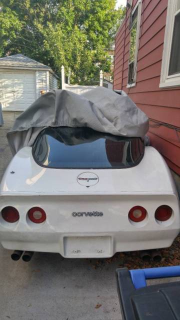1980 Chevrolet Corvette Corvette - photo 4
