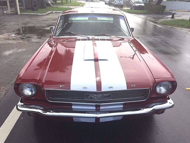1966 Ford Mustang GT350 - photo 5