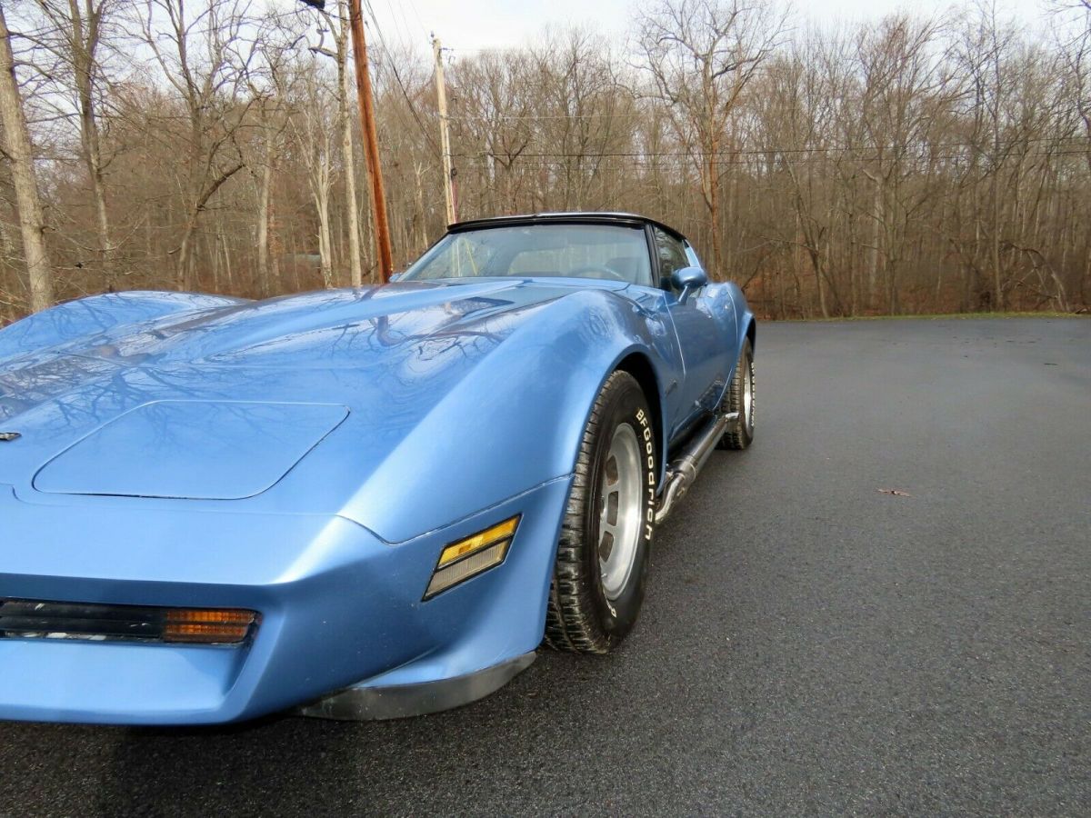 1981 Chevrolet Corvette - photo 10