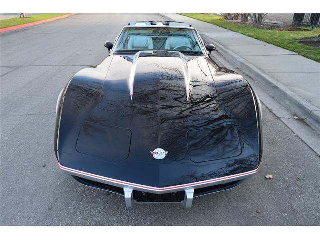 1978 Chevrolet Corvette Pace Car - photo 4