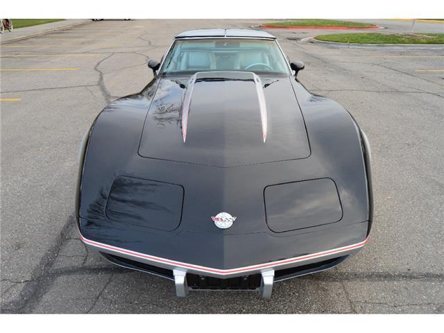 1978 Chevrolet Corvette Pace Car - photo 7