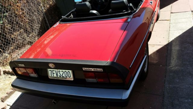 1986 Alfa Romeo Spider - photo 6