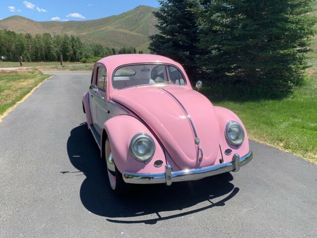 1955 Volkswagen Beetle - Classic - photo 2