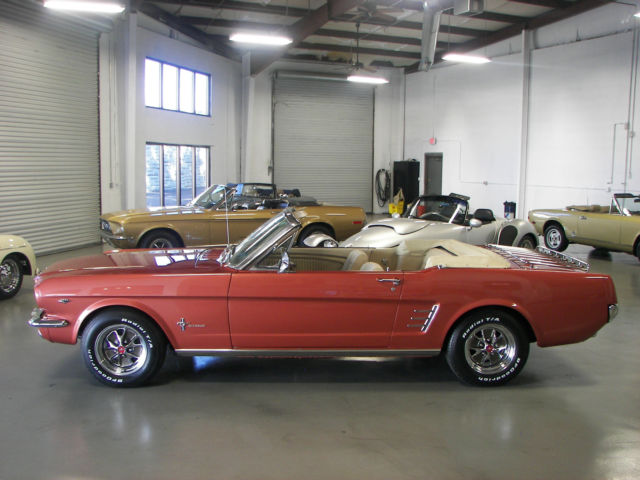 1966 Ford Mustang C-Code Luxury Pony Interior - photo 6