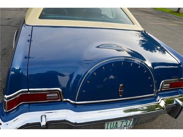 1976 Lincoln Continental Bill Blass - photo 13