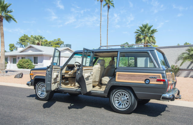 1989 Jeep Wagoneer Grand Wagoneer - photo 13