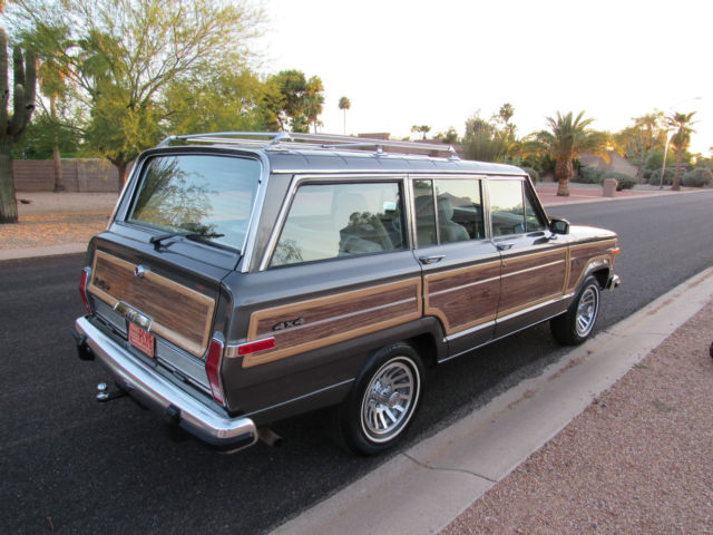 1989 Jeep Wagoneer Grand Wagoneer - photo 6