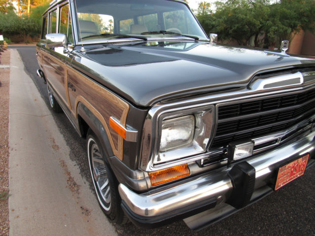 1989 Jeep Wagoneer Grand Wagoneer - photo 9