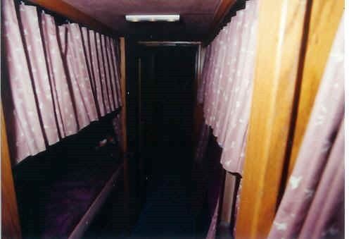 Eagle - photo 5