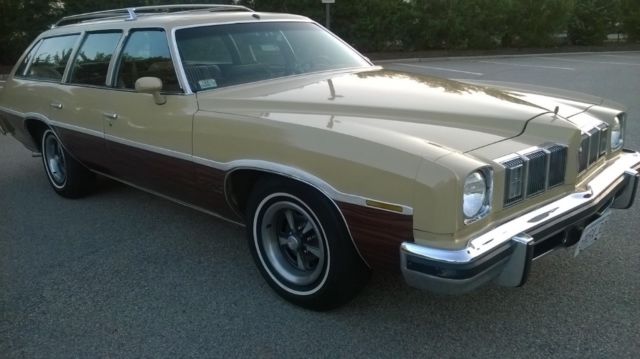 1975 Pontiac Le Mans Woodgrain - photo 6